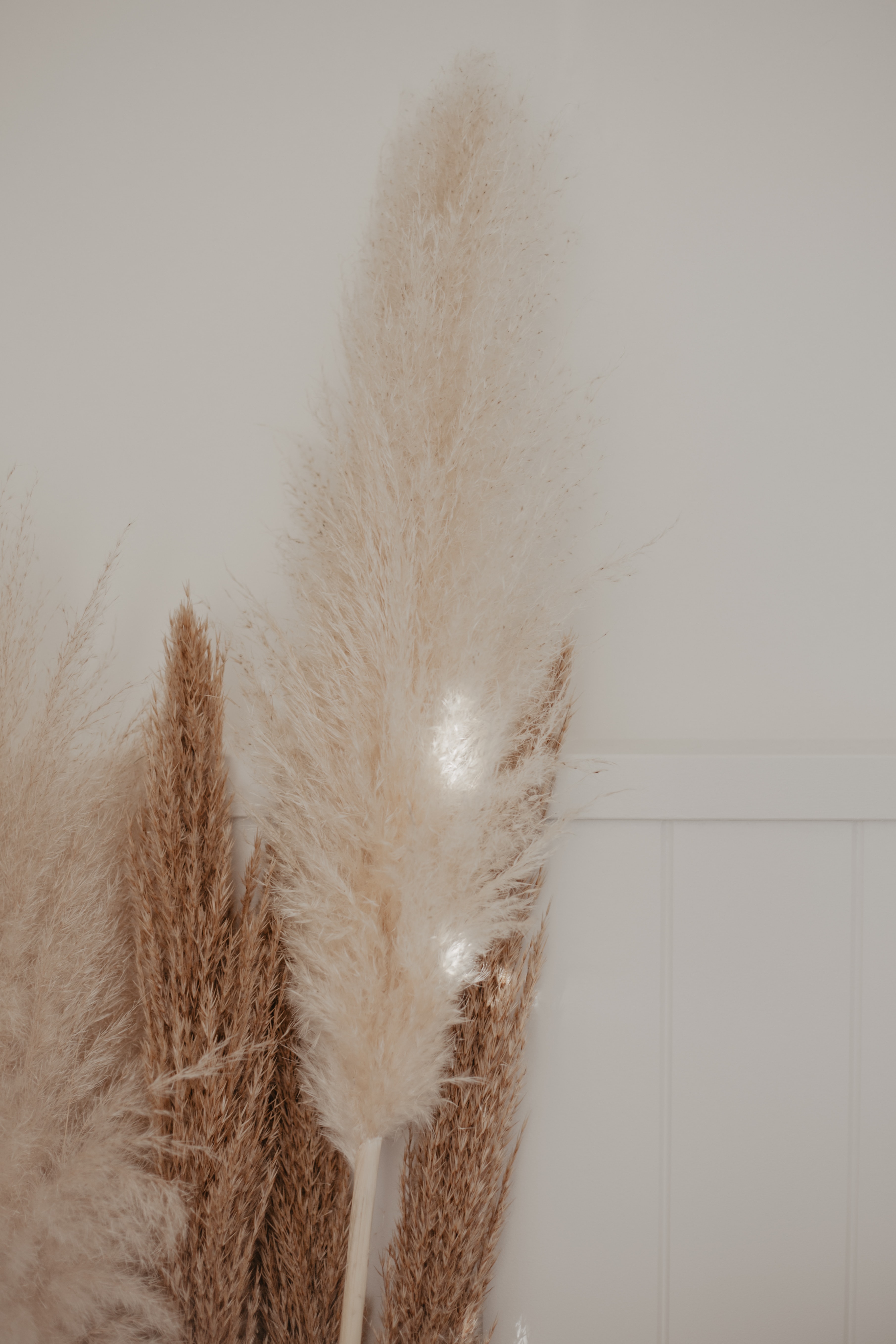 What Does Flourish Mean?